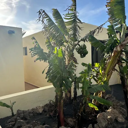 شقة Cozy Canarian With Large And Sunny Garden كوستا تاغيسي
