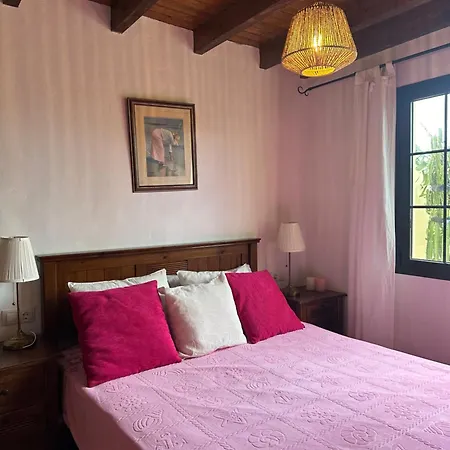 شقة Cozy Canarian With Large And Sunny Garden