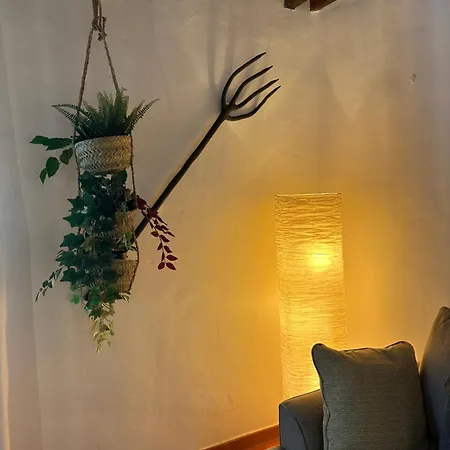 Cozy Canarian With Large And Sunny Garden *