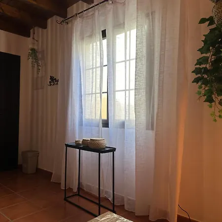 Cozy Canarian With Large And Sunny Garden *