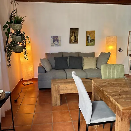 Cozy Canarian With Large And Sunny Garden Lägenhet Costa Teguise