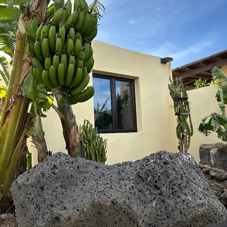 Cozy Canarian With Large And Sunny Garden Apartment *