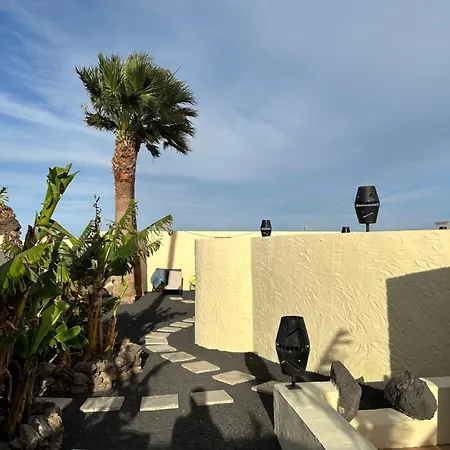 Cozy Canarian With Large And Sunny Garden Apartment *
