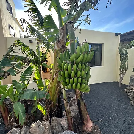 Cozy Canarian With Large And Sunny Garden Apartment Costa Teguise