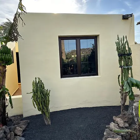 Cozy Canarian With Large And Sunny Garden Apartment