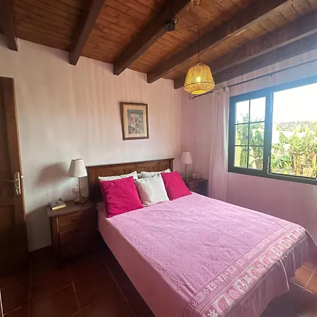 公寓 Cozy Canarian With Large And Sunny Garden *