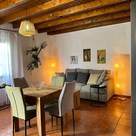 公寓 Cozy Canarian With Large And Sunny Garden 科斯塔特吉塞